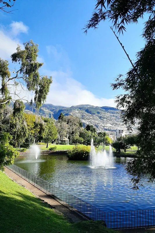 Fountains In Funchal