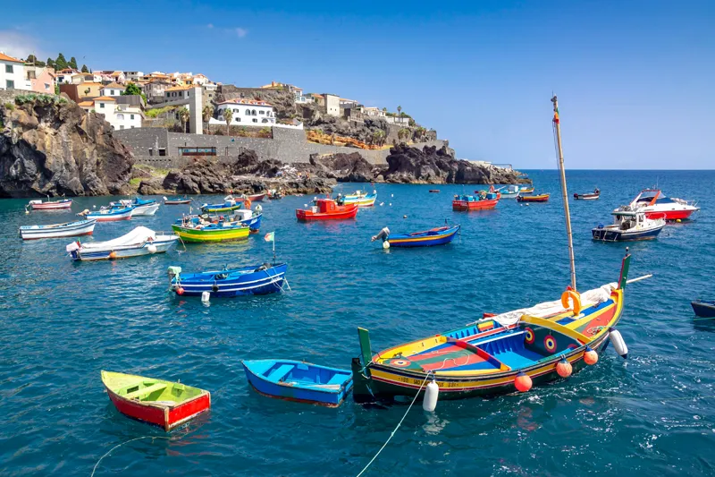 Camara De Lobos