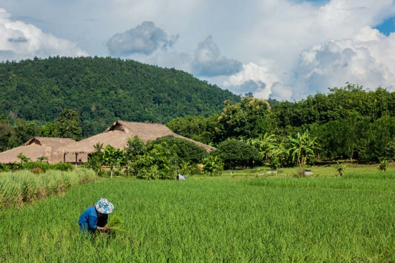 Chang Mai