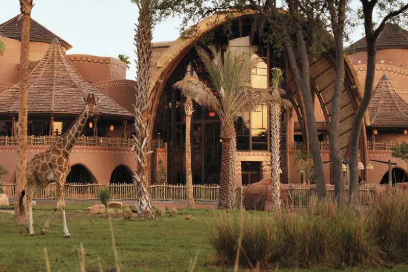 Disney's Animal Kingdom Lodge Hotel Florida